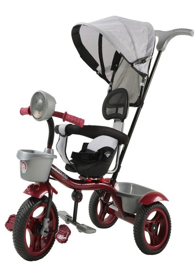 JoyRide 4 in 1 Reversible Tricycle for Kids Toddler Trike with Music & Light Parent Handle Push Along Pedal Trike Removable Canopy Safety Belt Footrest for 18 Months to 5 Years (RED) - Image 1